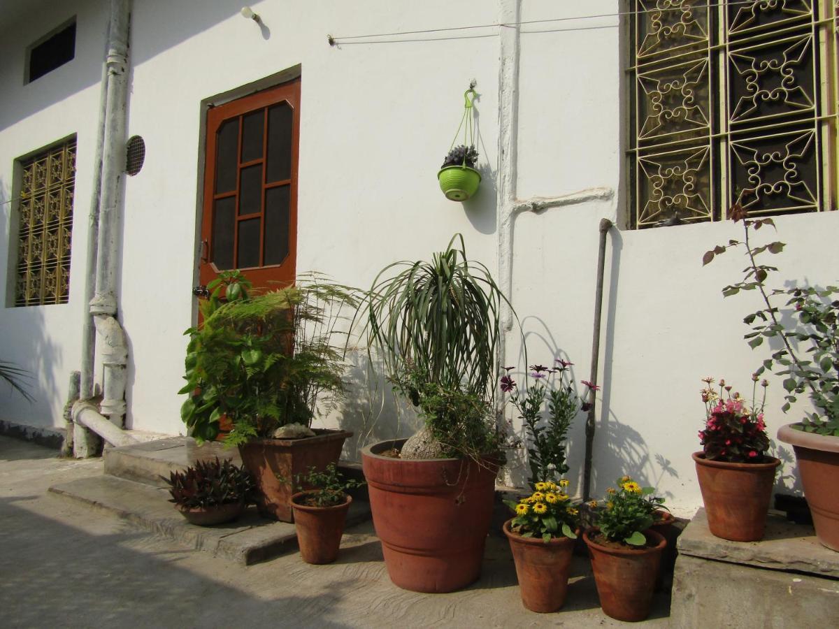 Nadya Homestay For Female & Family جايبور المظهر الخارجي الصورة